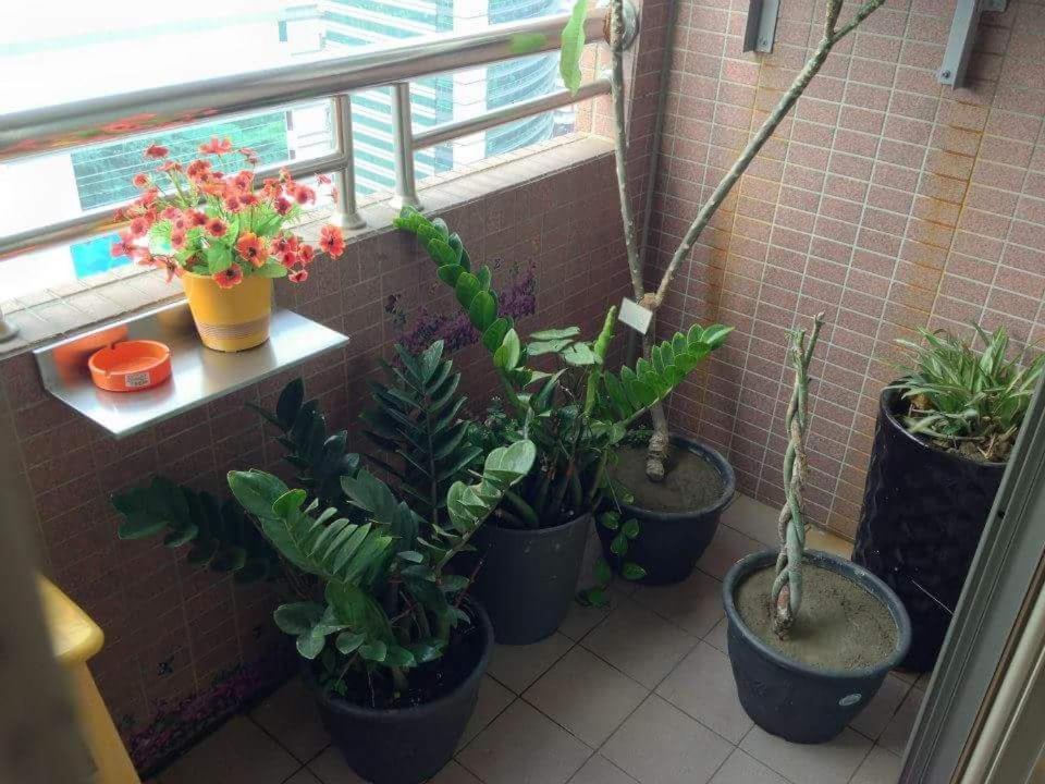 Jia Jia House Apartment Kaohsiung Exterior photo